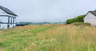 von_poll_real_estate_property_25189028_image_1