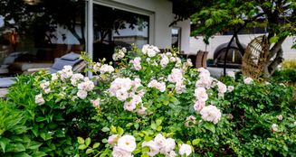 von_poll_real_estate_property_25189034_image_6