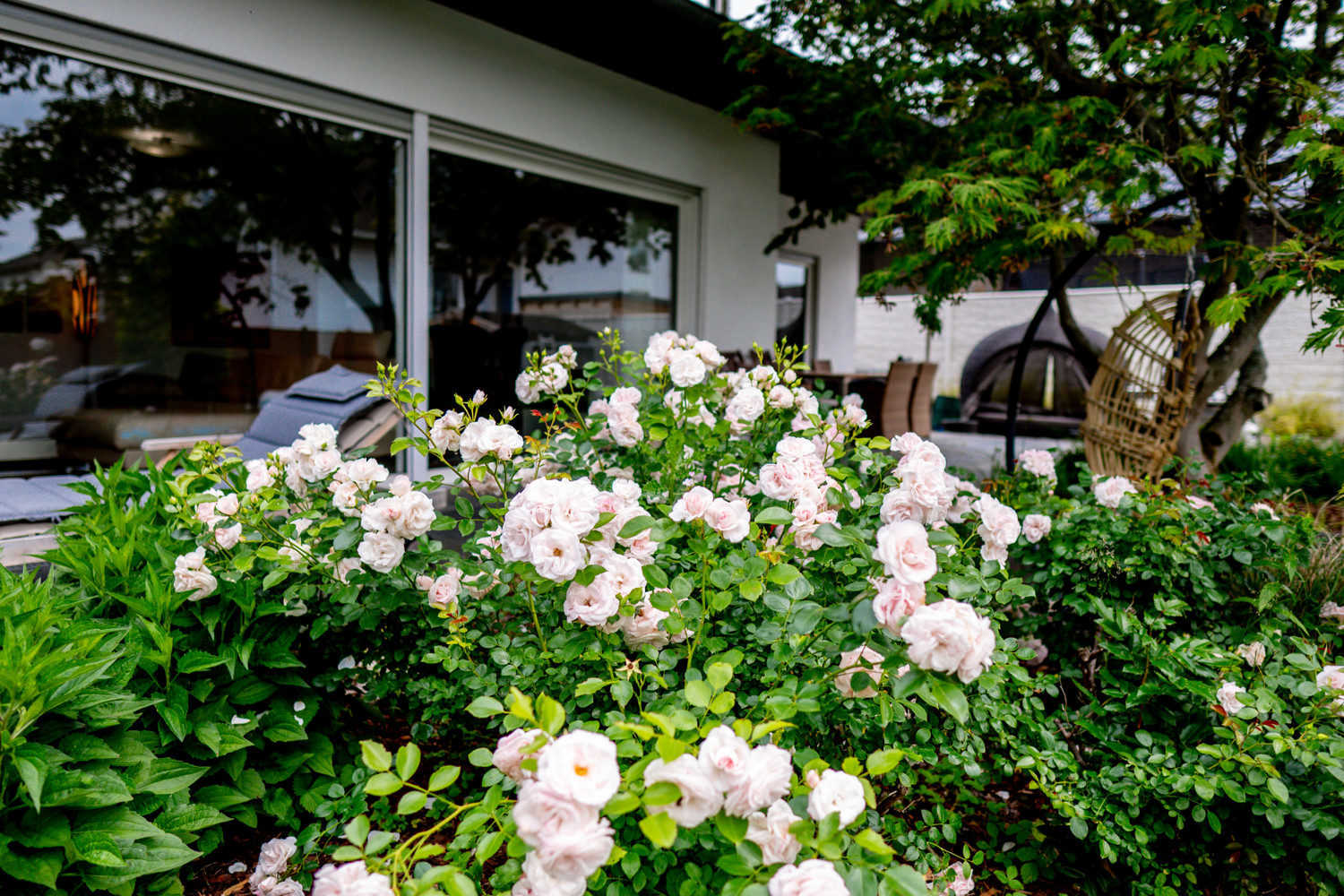 Exklusives Einfamilienhaus mit Pool in sehr ruhiger Lage in Limburg