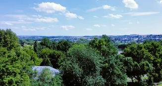 von_poll_real_estate_property_25189036_image_4