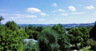 von_poll_real_estate_property_25189036_image_5