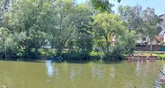 von_poll_real_estate_property_25189036_image_9