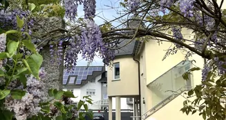 von_poll_real_estate_property_26189002_image_29