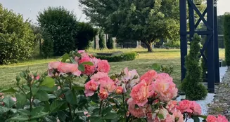 von_poll_real_estate_property_26189002_image_27