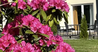 von_poll_real_estate_property_26189002_image_28