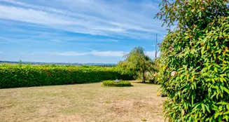 von_poll_real_estate_property_25189048-A_image_1