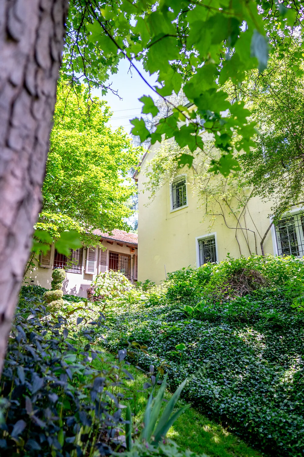 Das Dombachhaus. Einzigartiges Wohnerlebnis in Alleinlage, umarmt von traumhafter Parkanlage.