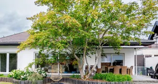 von_poll_real_estate_property_25189034-n_image_0