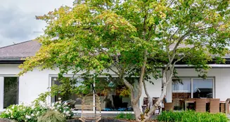 von_poll_real_estate_property_25189034-n_image_1