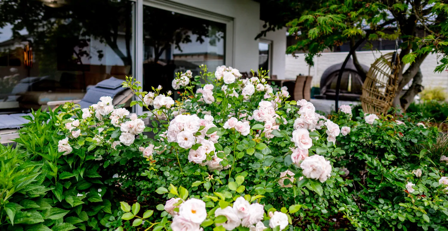 Exklusives Einfamilienhaus in sehr ruhiger Lage in Limburg