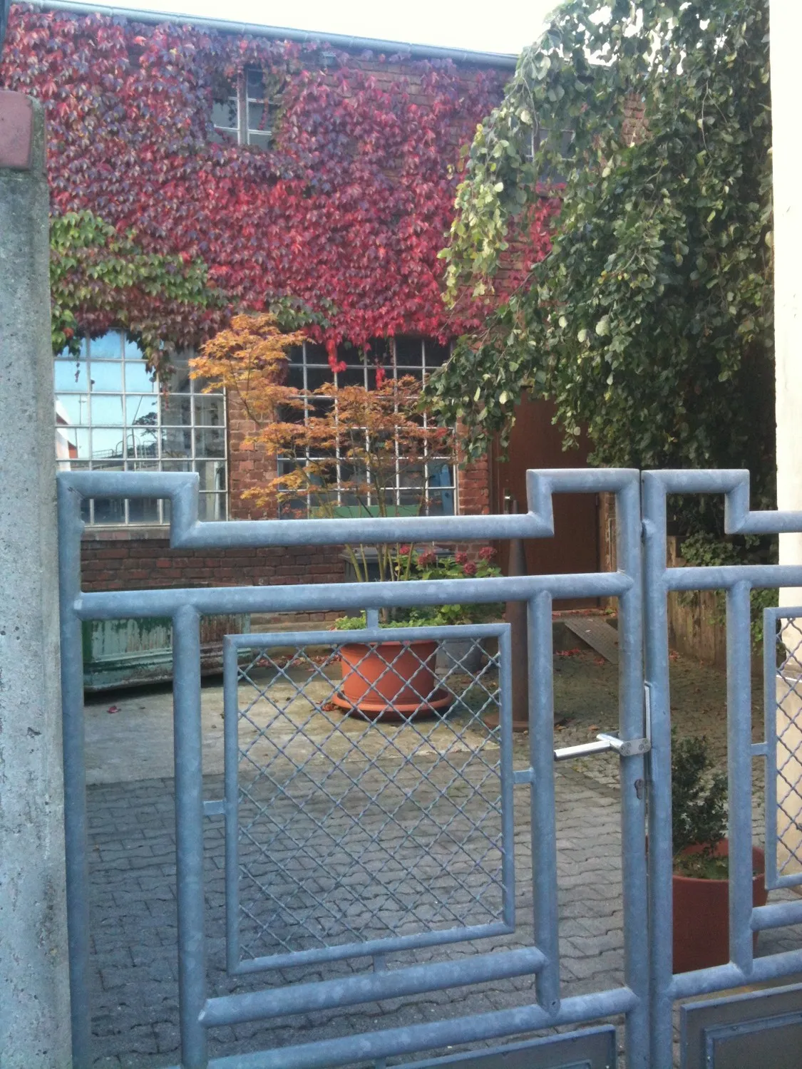 Innenstadtlage von Limburg. Modernisierte Altbauwohnung mit viel Charme und Flair.