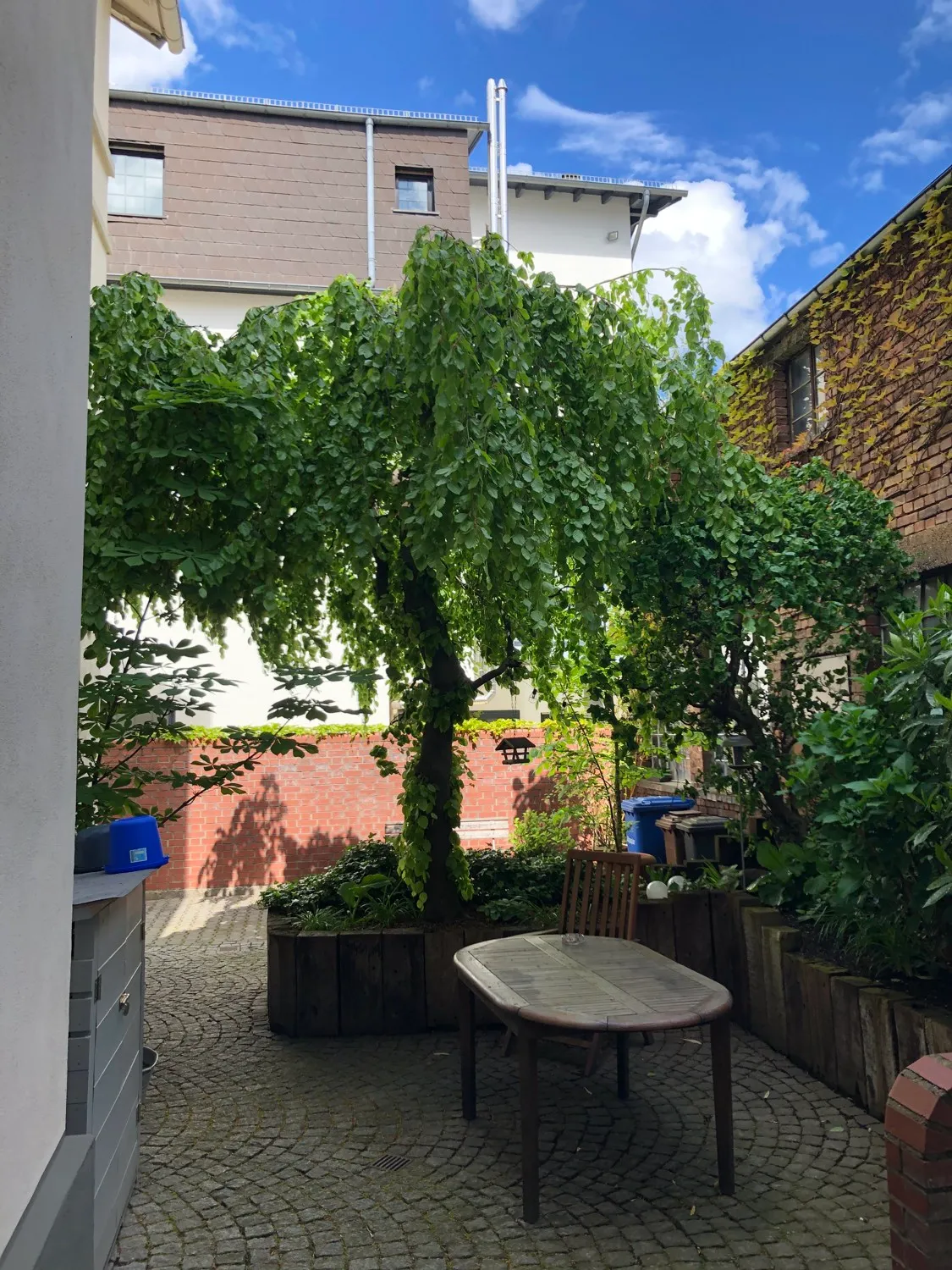 Innenstadtlage von Limburg. Modernisierte Altbauwohnung mit viel Charme und Flair.