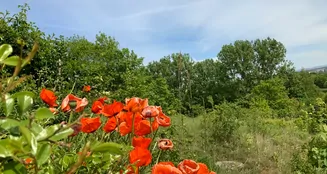 von_poll_real_estate_property_22189023_image_0