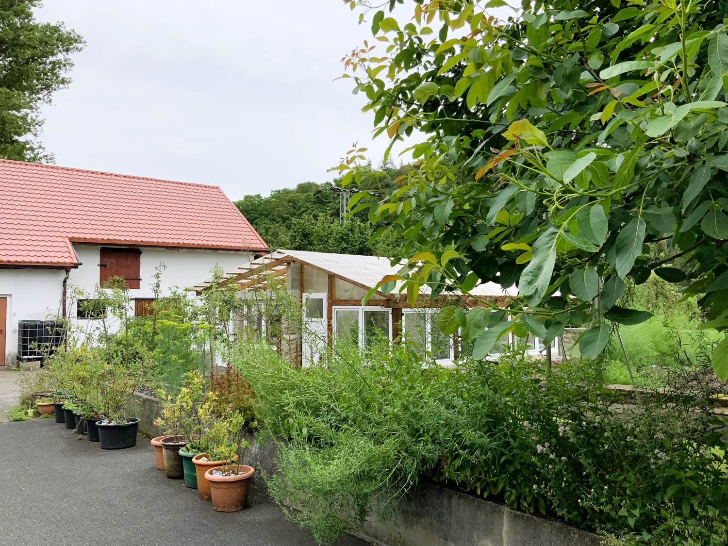 Herrlich gepflegter Landhausanwesen/Aussiedlerhof in Alleinlage-Bad Camberg / Limburg