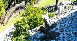 von_poll_real_estate_property_24189025_image_5