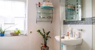 von_poll_real_estate_property_24189025_image_14