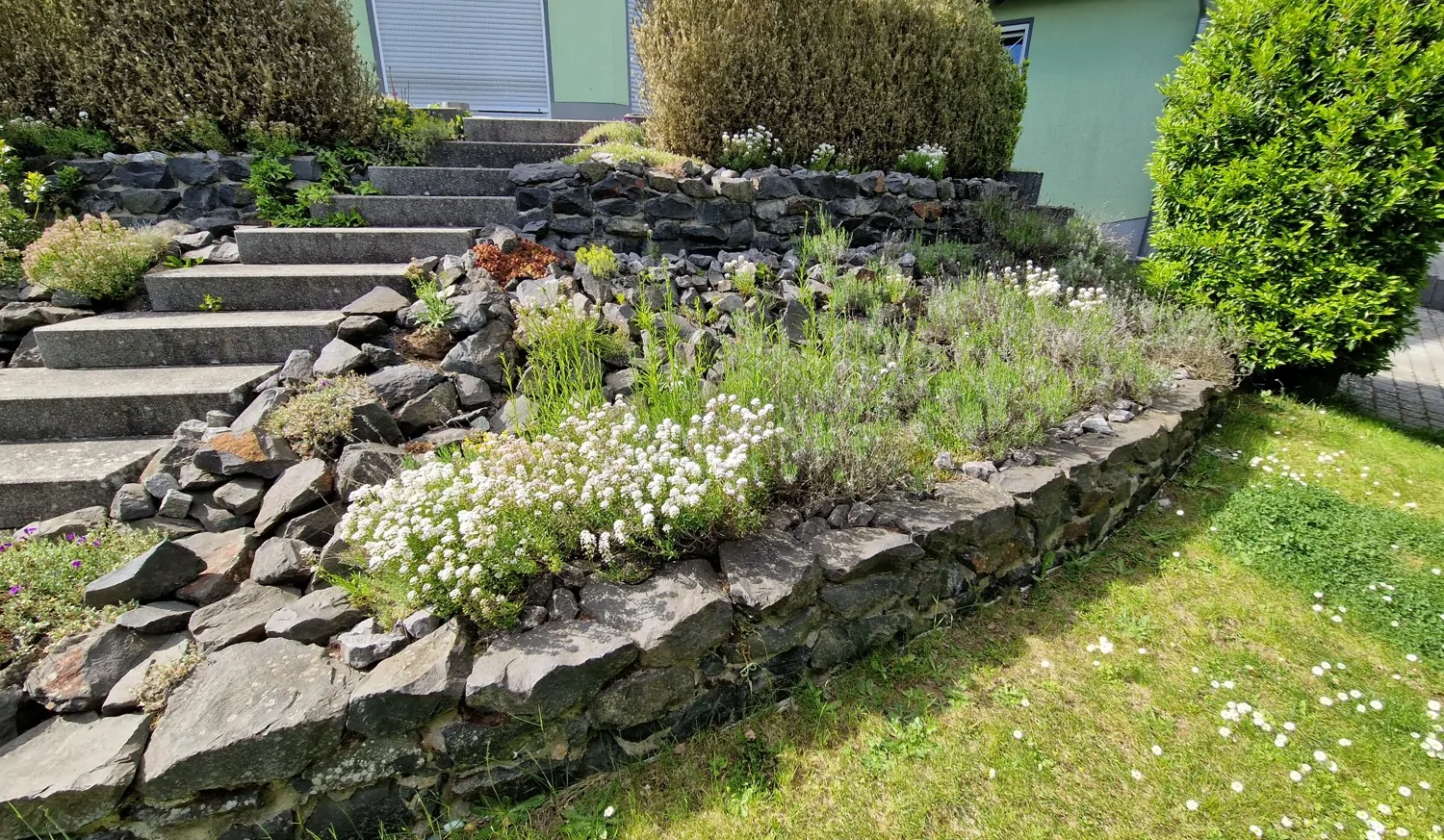 Neuwertiges Einfamilienhaus mit Einliegerwohnung in modernem Wohngebiet.