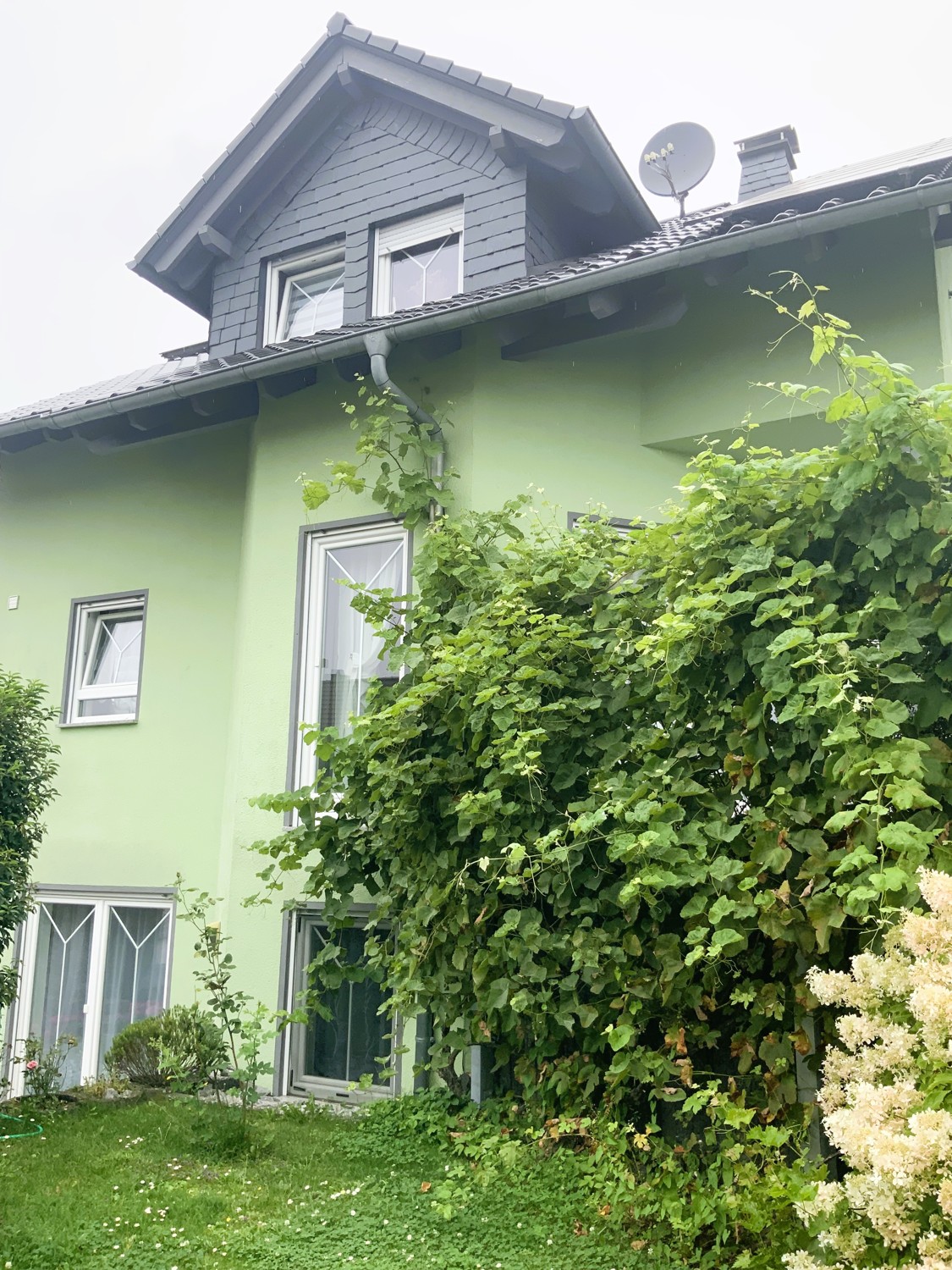 Modernes Einfamilienhaus mit Einliegerwohnung in schöner Umgebung.