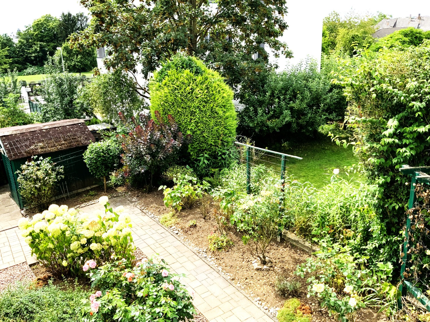 Gepflegtes 2FH in Bestlage von Limburg mit Domblick und kurzer Anbindung an die Altstadt