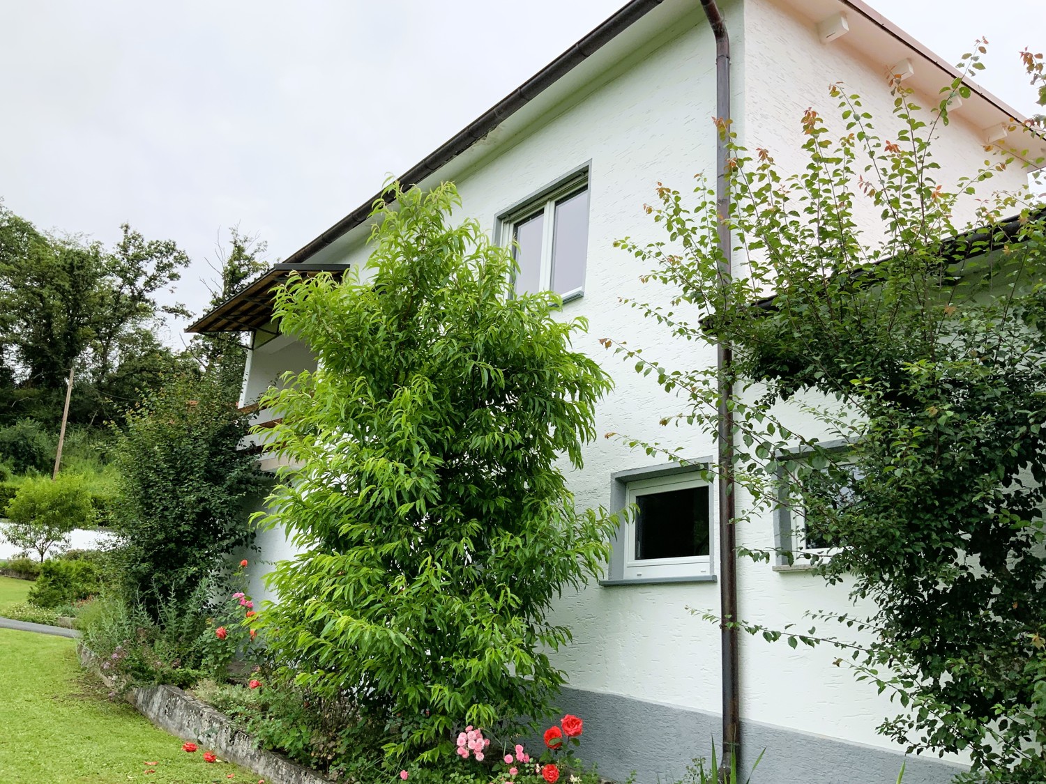 2 Häuser für 2 Familien - Herrlich gepflegtes Landhausensemble in Alleinlage- Bad Camberg / Limburg