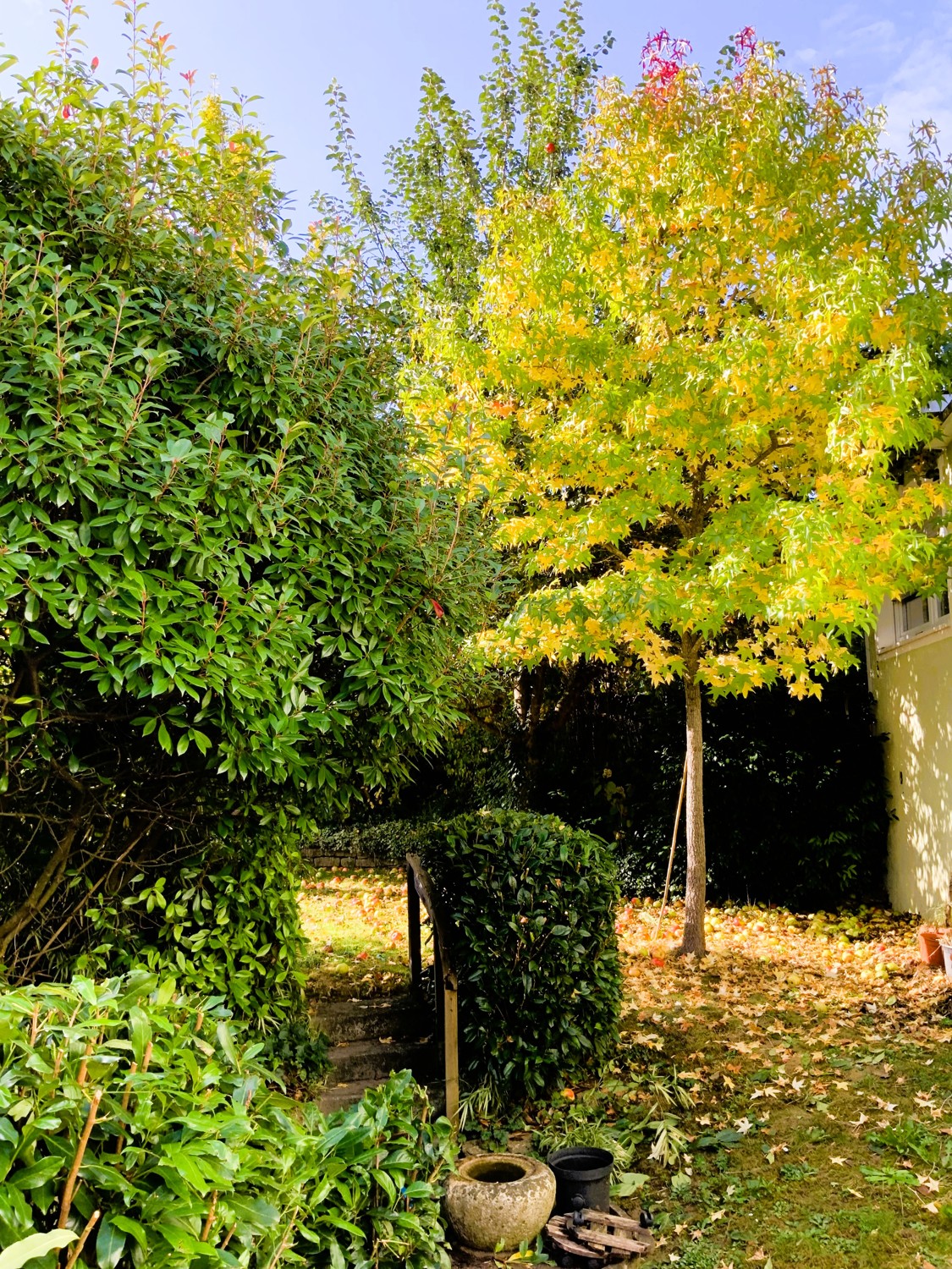 Schönes Stadthaus mit Garten in Elz - Nähe Limburg