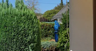 von_poll_real_estate_property_25189067_image_6