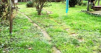 von_poll_real_estate_property_24189077_image_3