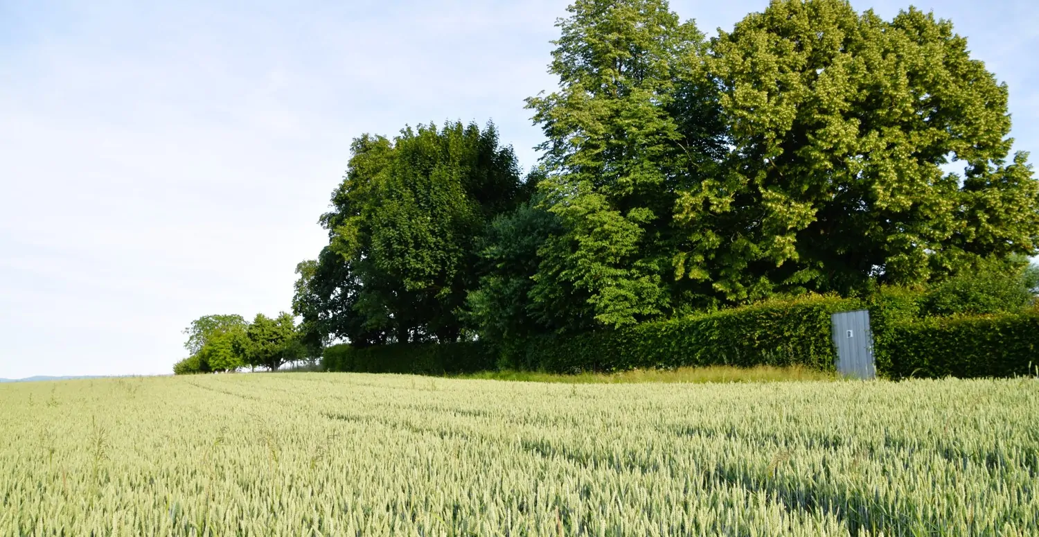 Repräsentativer Landsitz/Aussiedlerhof Alleinlage -  mit viel Platz auf großem Anwesen in Limburg