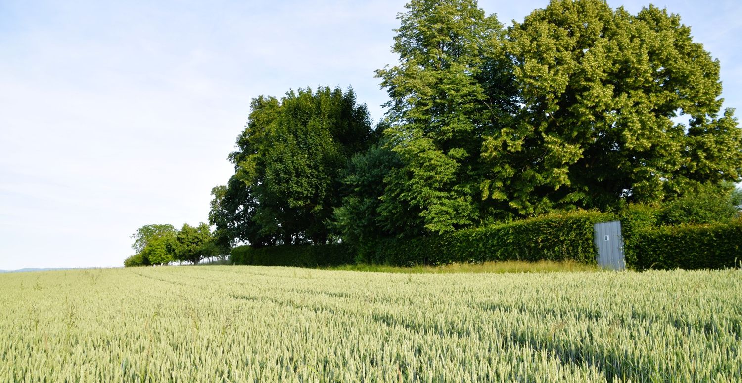 Repräsentativer Landsitz/Aussiedlerhof Alleinlage -  mit viel Platz auf großem Anwesen in Limburg