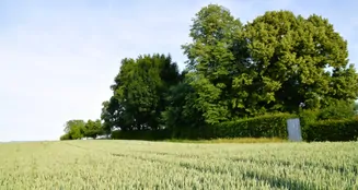 von_poll_real_estate_property_25189001_image_5