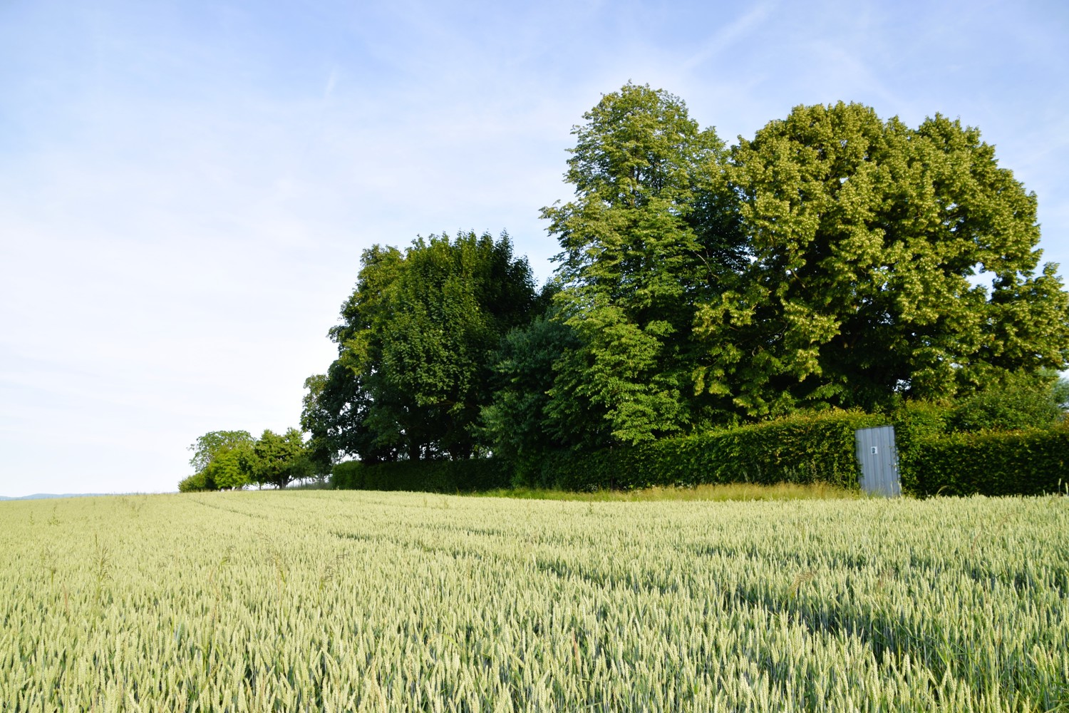 Repräsentativer Landsitz/Aussiedlerhof Alleinlage -  mit viel Platz auf großem Anwesen in Limburg