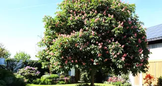 von_poll_real_estate_property_25189001_image_0