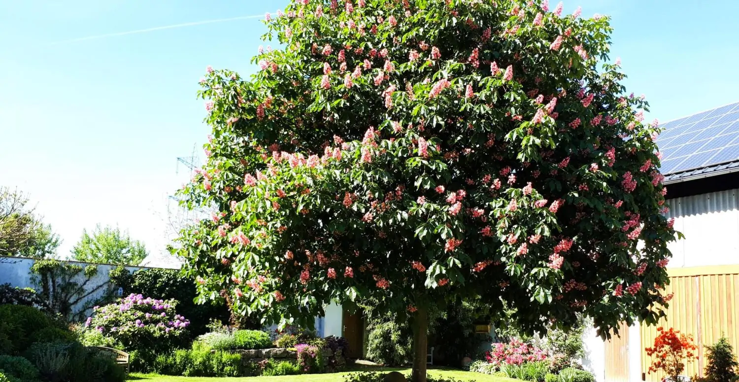 Repräsentativer Landsitz/Aussiedlerhof Alleinlage -  mit viel Platz auf großem Anwesen in Limburg