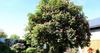 von_poll_real_estate_property_25189001_image_0