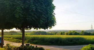 von_poll_real_estate_property_25189001_image_4