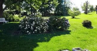 von_poll_real_estate_property_25189001_image_3