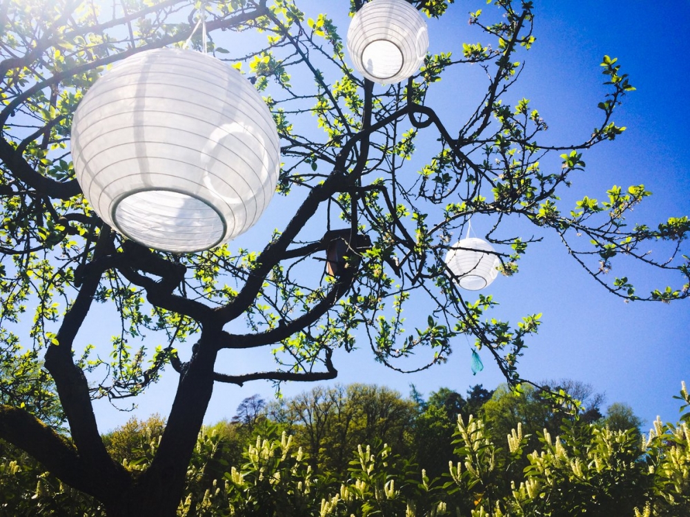 Traumwohnung in Bestlage von Limburg mit Terrasse und Garten