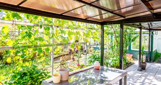 von_poll_real_estate_property_25189019_image_7