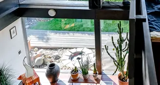 von_poll_real_estate_property_25189018_image_19