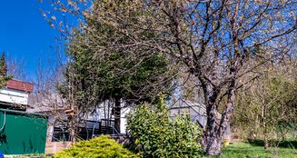 von_poll_real_estate_property_25189025_image_8