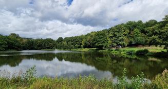 von_poll_real_estate_property_25189025_image_30