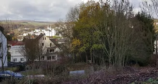 von_poll_real_estate_property_23189064_image_3