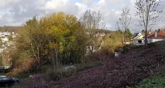 von_poll_real_estate_property_23189064_image_2