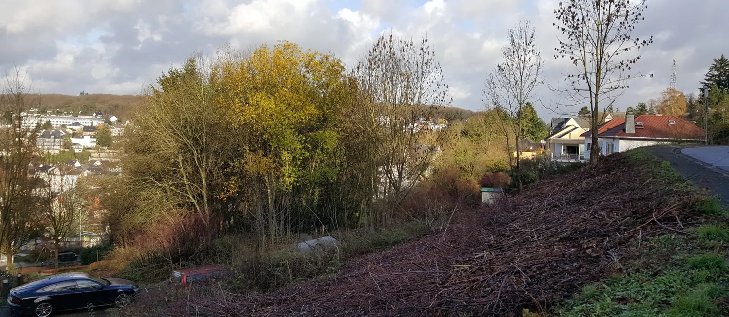 Diez. Baugrundstück für 11 Wohnungen in toller Wohnlage.