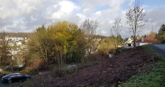 von_poll_real_estate_property_23189064_image_2