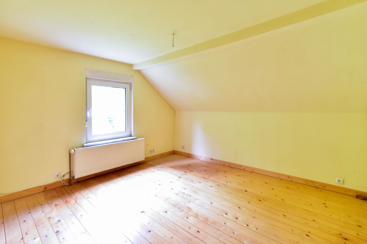 Zimmer-DG
