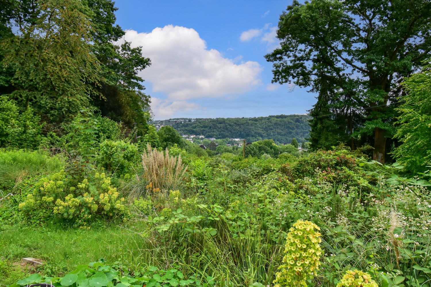 Ausblick Ruhrtal