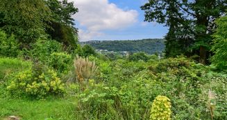 von_poll_real_estate_property_25029012_image_23