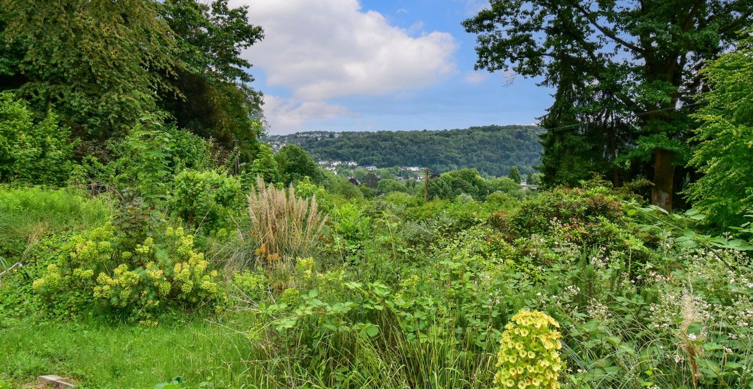 Ausblick Ruhrtal