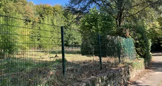 von_poll_real_estate_property_25029017_image_2